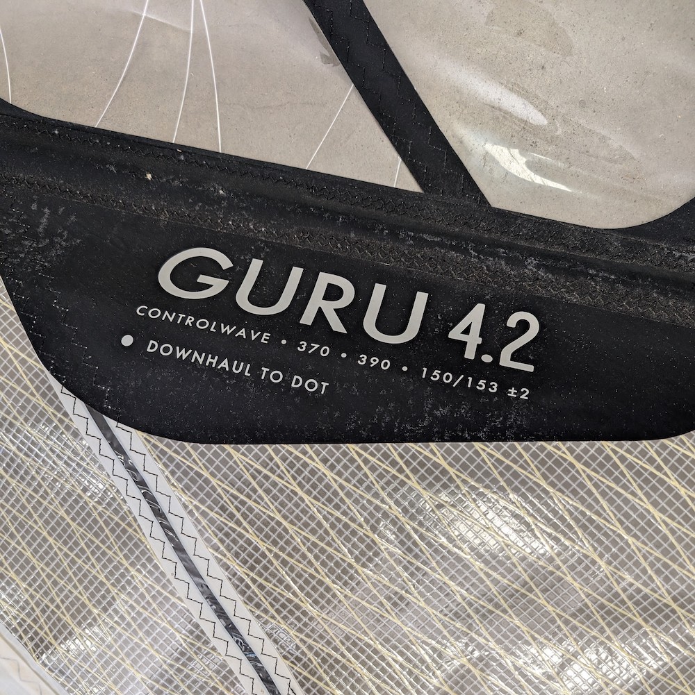 Goya GURU 4.2 2017 occasion