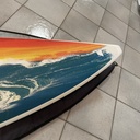 Fanatic GOYA PRO MODEL 75 occasion