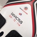 Fmx INVICTUS 114L 2019 occasion