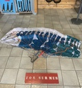 Ozone Pocket Rocket 3.0m 2025 occasion
