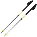 Blackcrows TRIOS FREEBIRD POLES 2024